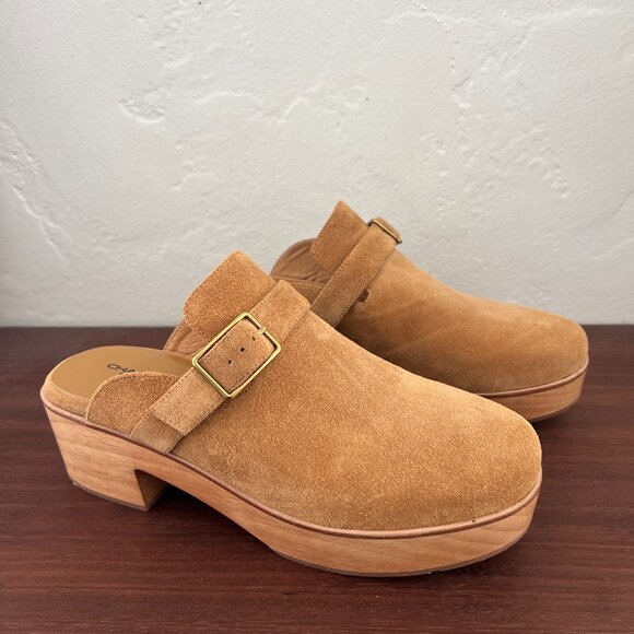 Charlotte Stone Shoes - NEW Charlotte Stone Sam Clogs in Bamboo tan brown suede platform clogs buckle 10